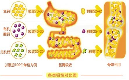 酪蛋白磷酸肽cpp