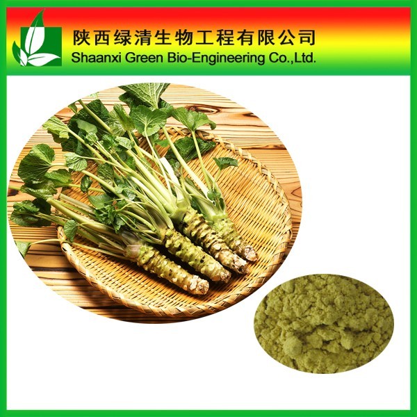 产品 植物提取物  其他 芥末粉 现货供应 品质保证 量大从优600_600