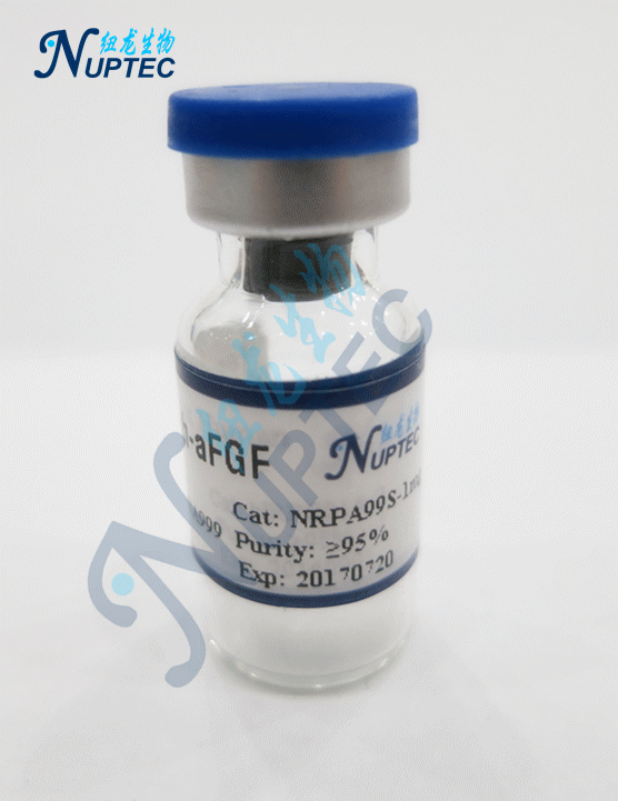重组人酸性成纤维细胞生长因子(rh-afgf)
