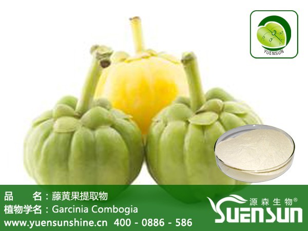 源森生物产藤黄果提取物-优质植物提取物生产商