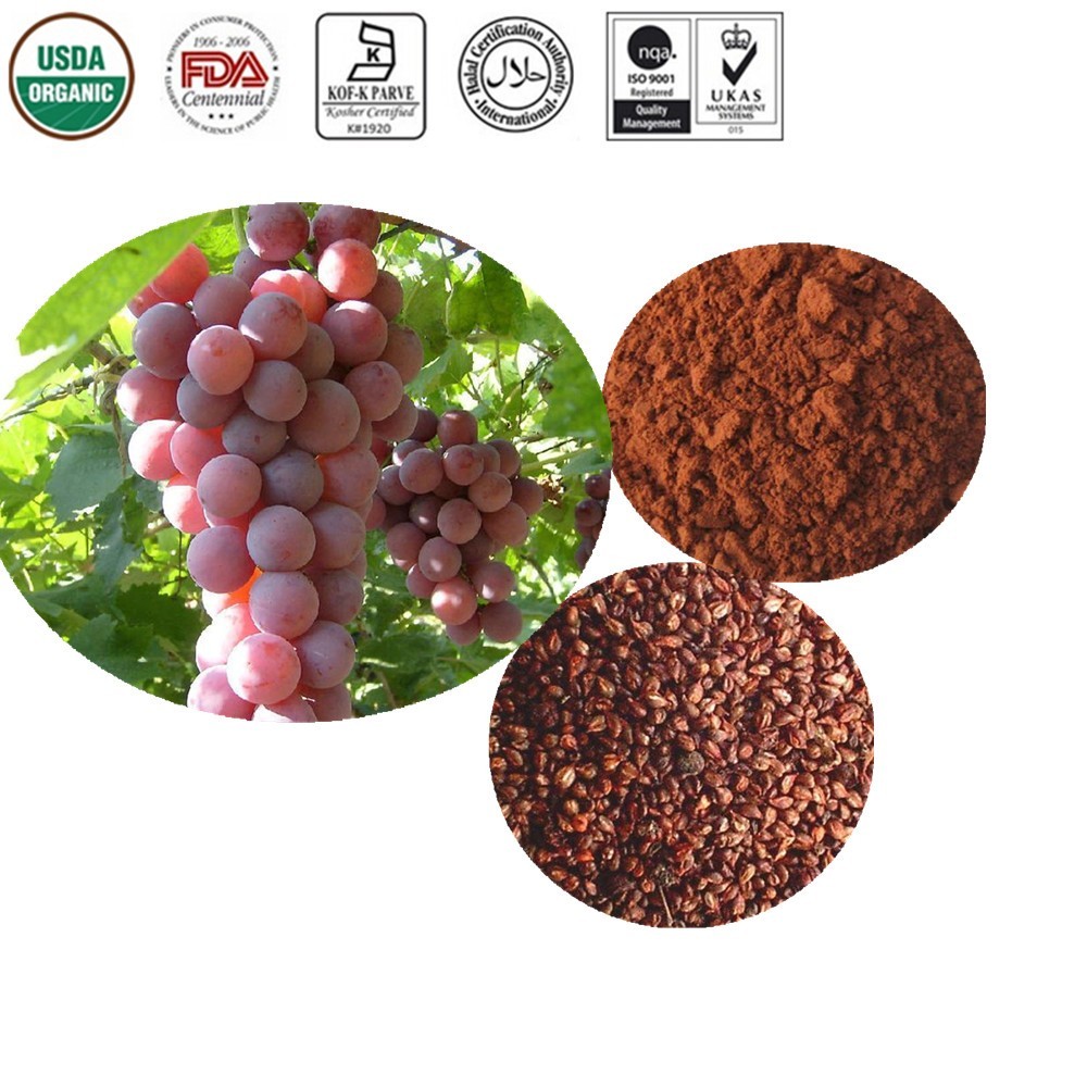 葡萄籽提取物价格 陕西鸿昊生物技术有限公司