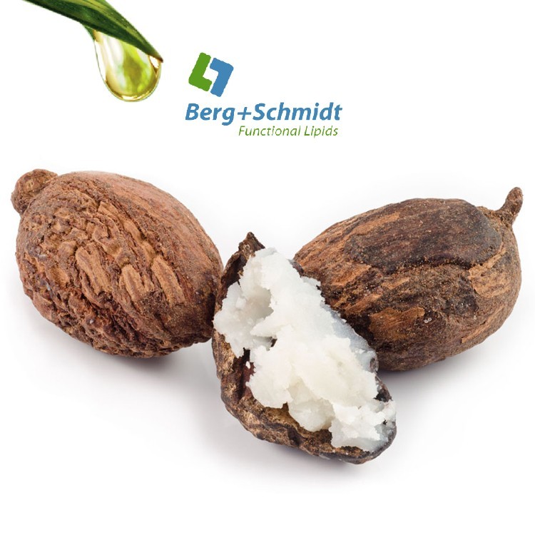 进口乳木果油(功能性油脂) 品牌:Berg+Schmid