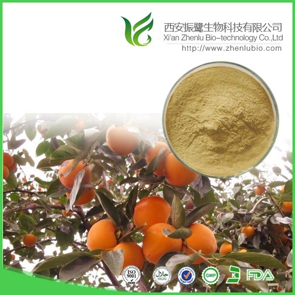 柿叶提取物 生产厂家供应图片