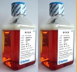 gibco 10099-141 500ml 澳洲血清价格