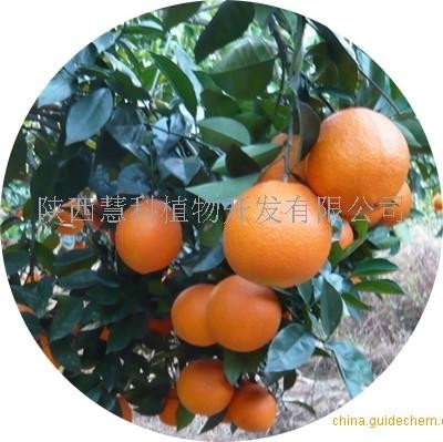 蜜橘黄素 98%价格 陕西慧科植物开发有限公司