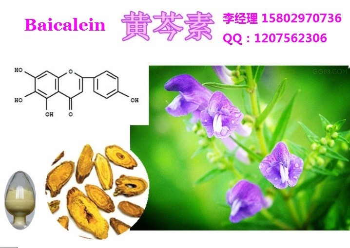 黄芩素950% 价格 杨凌慈缘生物技术有限公司