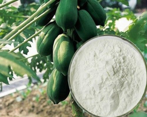 木瓜凝乳蛋白酶作用价格 品牌:深圳安泰 -盖德化工网