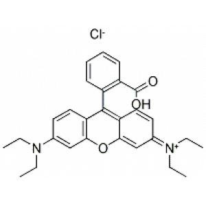 罗丹明b