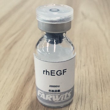 重组人表皮细胞生长因子