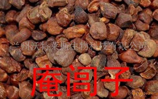 庵闾子提取物 10:1 大量库存 包邮 产品图片