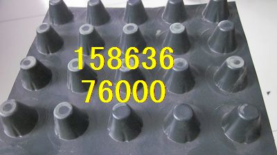 HDPE排水板（米乐M6 米乐HDPE塑料排水板）蓄(图1)