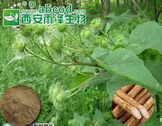 产品 植物提取物  其他 牛蒡根提取物   价  格 ￥3 ￥2 ￥1 起批量