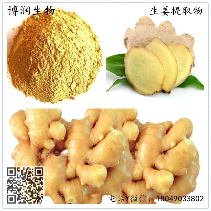 生姜提取物生姜汁粉20姜辣素博润生物现货供应