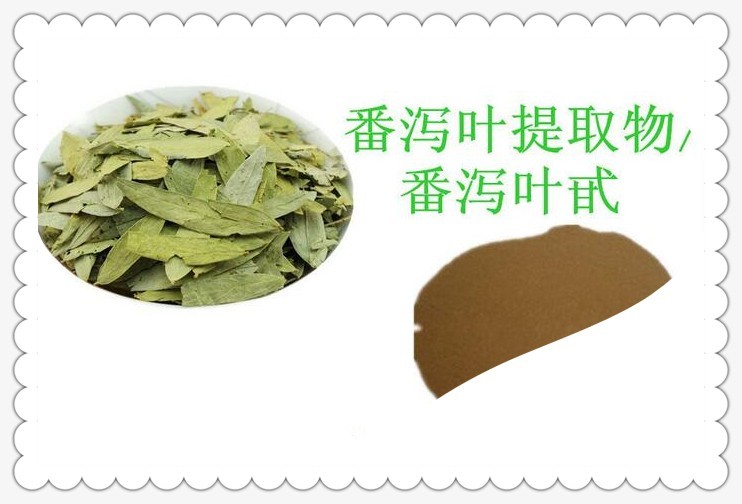 科人 番泻叶提取物 纯天然提取物保健产品营养品 直销批发