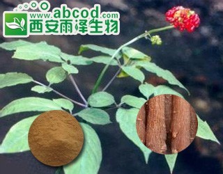红参提取物人参党参玄参提取物生产