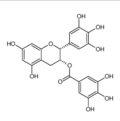 茶多酚试剂级,98%(84650-60-2)