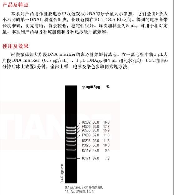 电泳marker条带,marker条带电泳 脉冲电泳 marker( 低范围 pfg)50 次品牌(进口/国产)