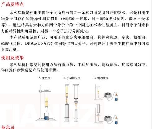 亲和层析柱30 ml价格