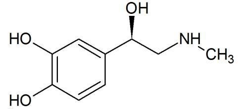 去甲肾上腺素-现货供应99%