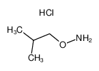 o-异丁基羟胺盐酸盐