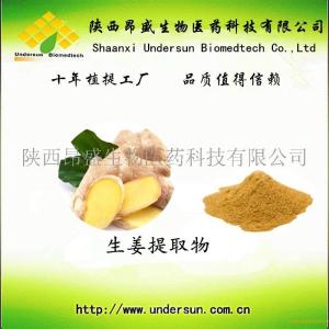 素油提取物-姜辣豆腐生姜包图片
