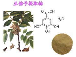 鞣酸 单宁酸 五倍子提取物 五倍子单宁酸 81-92%