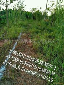 生态景观道路生态道路生物酶土壤固化剂陕西安乡村公路土壤固化剂