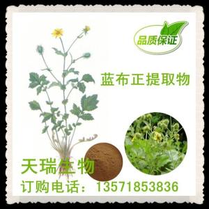 蓝布正提取物