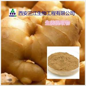 蛏子提取物-姜辣素即墨金口挖生姜图片