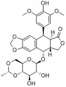 依托泊苷hplc98cas33419420