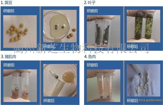 上海淨信jxfstprpii冷凍研磨機液氮冷凍