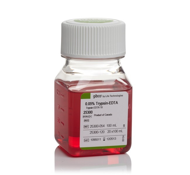 现货 gibco 胰蛋白酶 trypsin-edta(0.05 phenol red