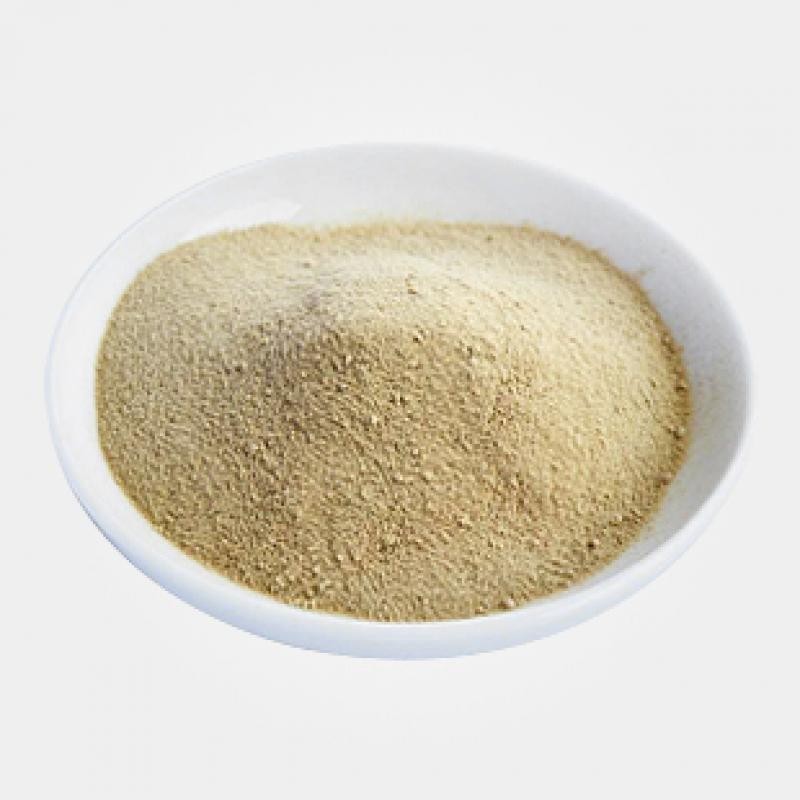 麦芽糖酶，使用麦芽糖酶，麦芽糖酶价格从优