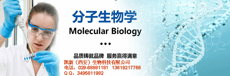 西安凯新生物科技有限公司 公司logo