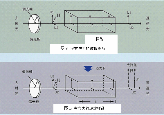 塞納蒙法的構成 從光源出來的光透過偏光片(起偏鏡),以直線偏光的形式