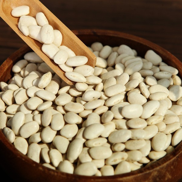 白芸豆粉 提取物 速溶粉 兰州沃特莱斯生物