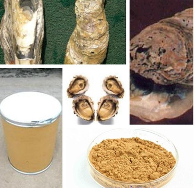 牡蛎提取物  牡蛎肽80%  兰州沃特莱斯供应