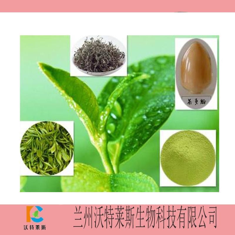 茶多酚98%  绿茶提取物  绿茶粉