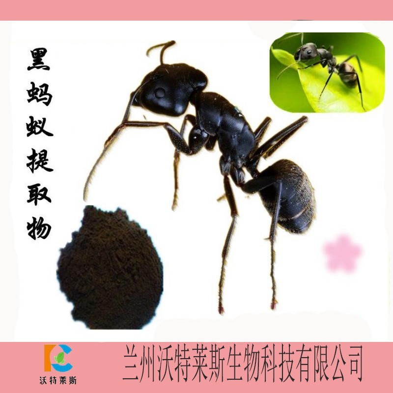 黑蚂蚁提取物  黑蚂蚁肽 欢迎订购