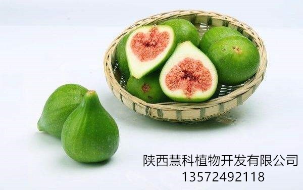 170442150603464.jpg