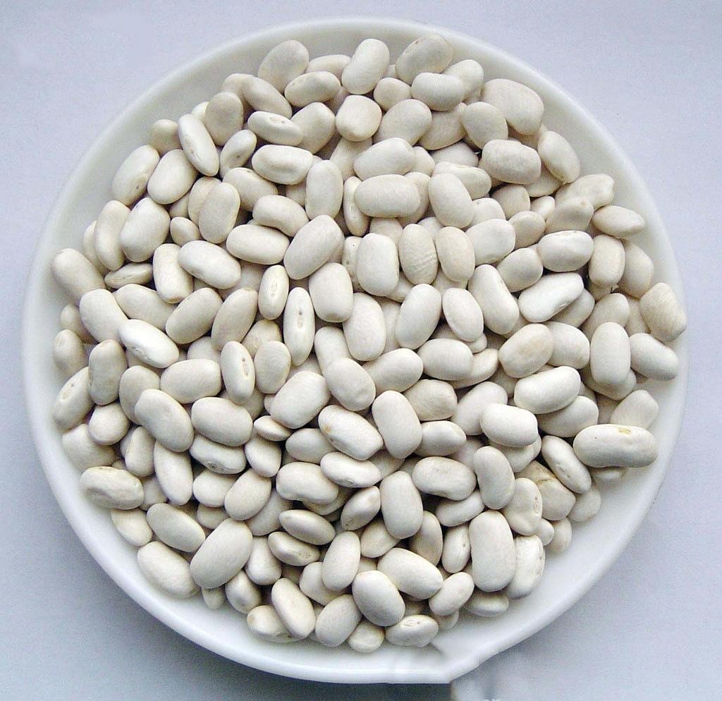 白芸豆提取white kidney bean pe价格