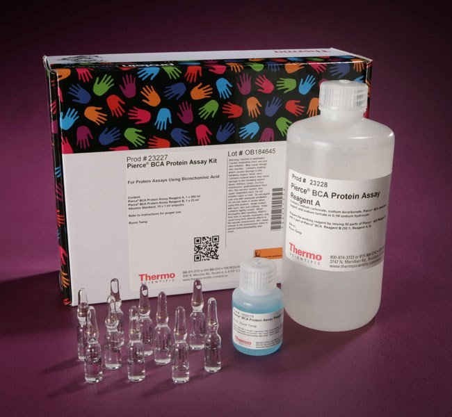Pierce Bca Protein Assay Kit