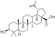 白桦脂酸/472-15-1/试剂生产