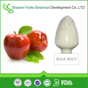 根皮苷  根皮甙98% 直销
