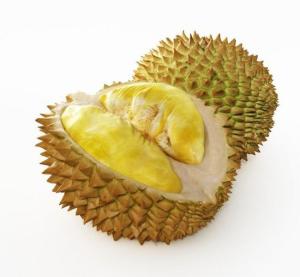 榴蓮提取物 榴蓮濃縮粉