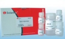 Bradford法蛋白浓度测定试剂盒   PC0010 产品图片