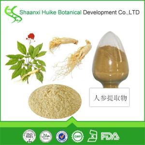 人参皂苷  人参皂甙80%慧科 直销