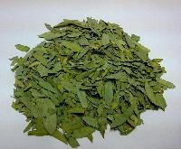 番泻叶喷雾干燥粉
