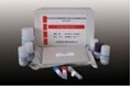 大鼠白介素6(IL-6)ELISA试剂盒 产品图片