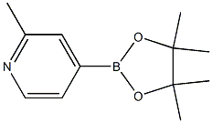 2-甲基-4-吡啶硼酸频呐醇酯